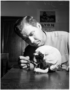 Skull found in mountains in back of Altadena (Sierra Madre Mountains), 1951
