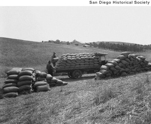 Two men loading sacks of wheat onto the back of a truck at an Otay ranch