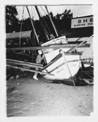 Boats washed ashore by the Shell Marine Products shop by a winter storm, Bodega Bay, California, January 1959