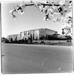 Exterior of King's Office Supplies and Equipment Inc., Santa Rosa, California, 1981