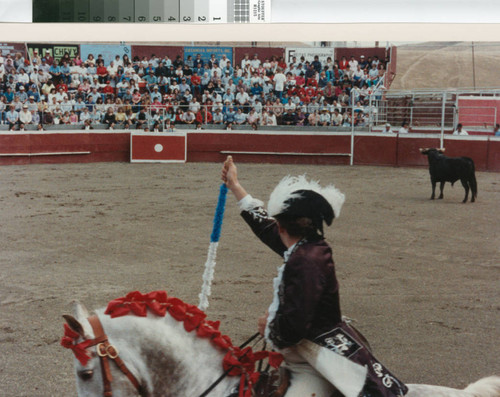 The action pauses between bull and cavaleiro (horseman) near Crows Landing, California, April 30, 1989