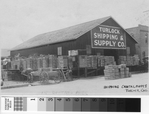 Shipping cantaloupes Turlock, Cal