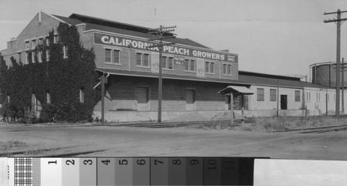 Photograph of the Factory No. 1 of the California Peach Growers, Inc