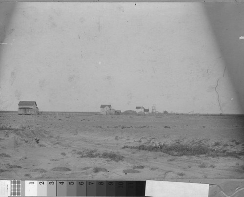 John W. Mitchell's land, farmed by Henry A. Osborn, near Turlock, California, circa 1901