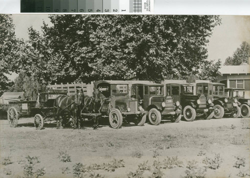 Pool's Van & Storage horse drawn wagon and four trucks in 1927 Turlock, California