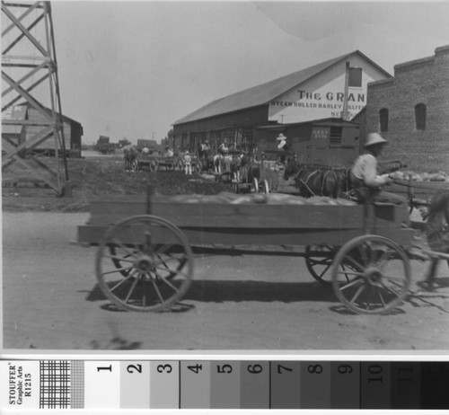 Farmers haul their watermelons to buyers in Turlock, California, circa 1910