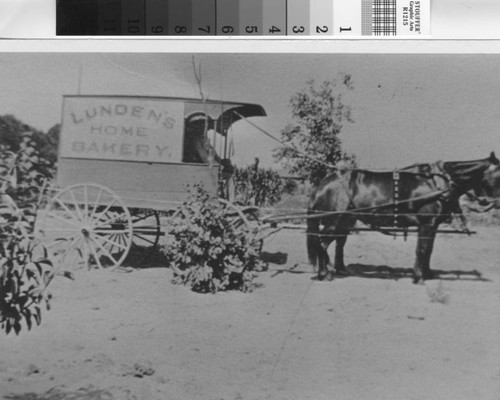 Photograph of John Nelson driving the Lunden's Home Bakery wagon