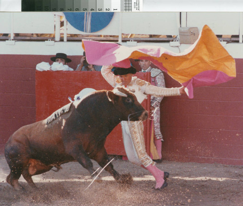 A matador displays his style in a bloodless bullfight near Escalon, California, July 2, 1989