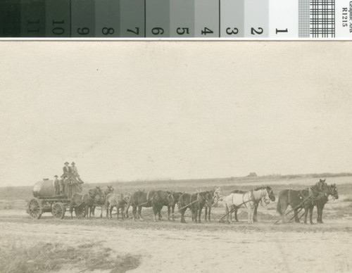 A horse drawn oil tank wagon near Turlock, California, circa 1910