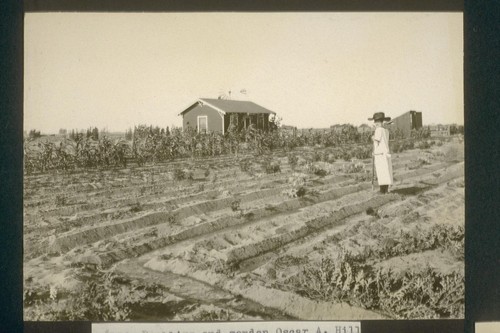 No. 156. Dwelling and garden, Oscar A. Hill, July 1922