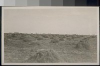 [field]