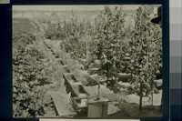 No. 96. Method of irrigation, August 1921