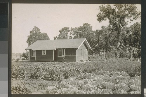 #170, Home of D. C. Crandall, Allotment F. August, 1920