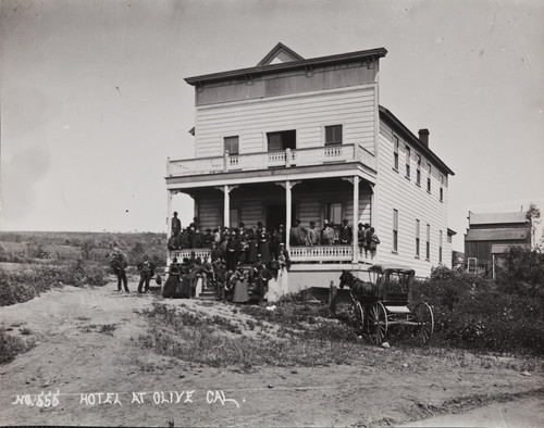 B.F. Conaway photograph of the Olive Heights Hotel