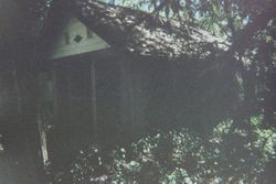 Building in shadows at George H. Smith's Georgetown near Sebastopol, California, 1997