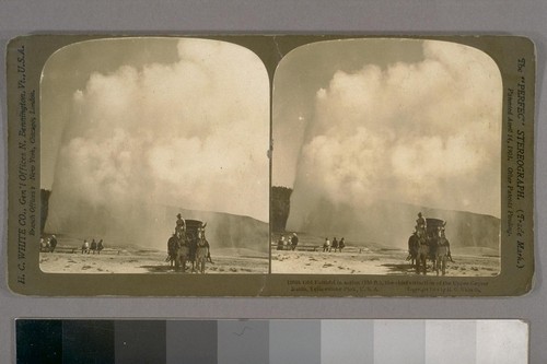 Old Faithful in action (150 ft.), the chief attraction of the Upper Geyser Basin, Yellowstone Park, U.S. A