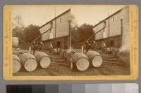 Buena Vista Vineyard, Sonoma. The Press House