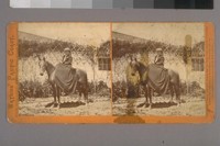 [Woman on horse]