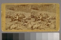 Celestial Diggins, Mongolian Flat, in 1849