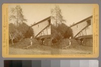 Buena Vista Vineyard, Sonoma. The Pomace Heap