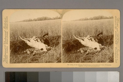 The ending of two Filipino Sharp-shooters--a rice field near Imus, Philippines