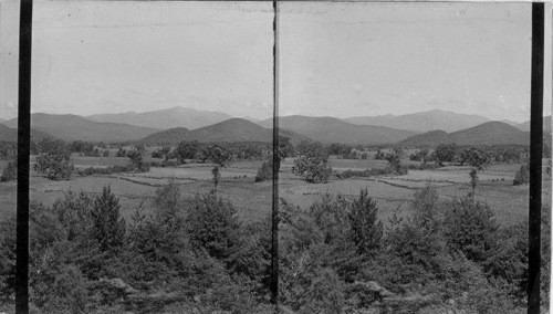 Mt. Washington, from Intervale, N. H