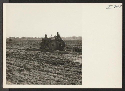Tractors preparing land for planting vegetables in the coastal area of South Carolina. The land shown is four miles south of Beaufort, South Carolina. Photographer: Iwasaki, Hikaru Beaufort, South Carolina