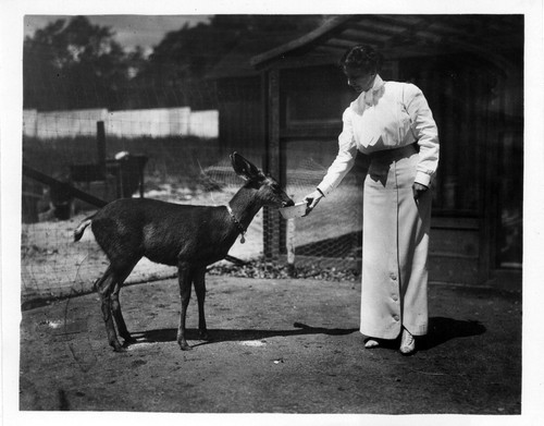 Anita Baldwin Feeding her Deer Named Caza