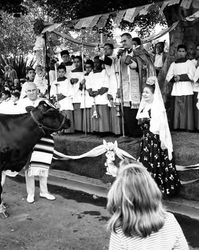 Blessing of a black cow, Consuelo de Bonzo in foreground