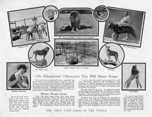 Pamphlet of Gay's Lion Farm (inside description)