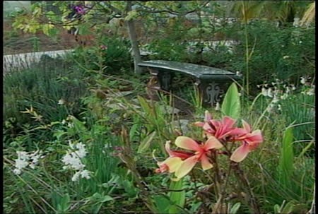 Alexis Smith's Snake Path - Bench, garden footage