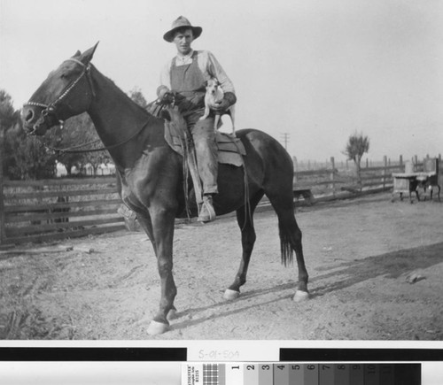 Photograph of Perry Graves on his horse in Pleasant Grove (Calif.)