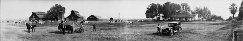 Photographic black and white negative of the Sunny Bank Farm in Nicolaus (Calif.)