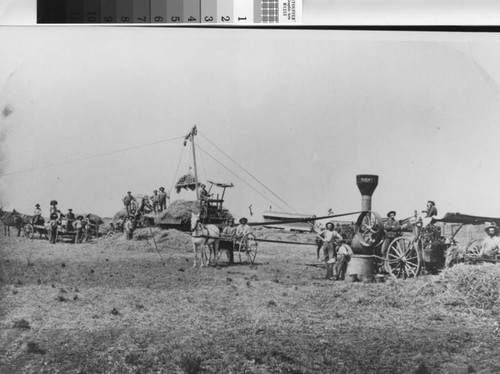 Photograph of Senator Chandler Harvester in Pleasant Grove (Calif.)