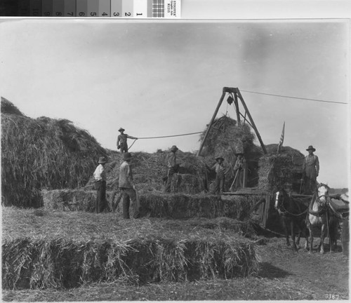 Photograph of Bailing Hay