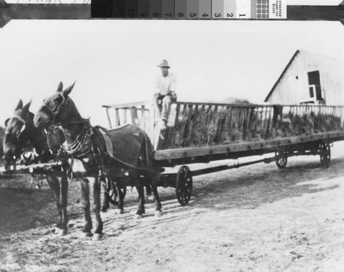 Photograph of Sack Sower driven by Harry Keys