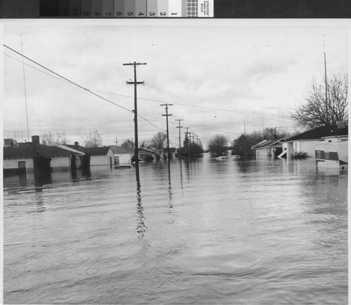 Photograph of Taber Avenue after flood of 1955