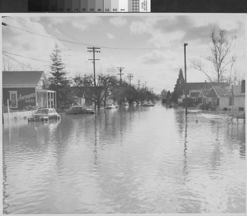 Photograph of Shasta Street after flood of 1955