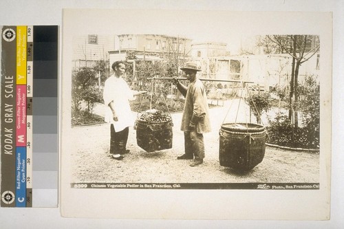 Chinese Vegetable Pedler [sic] in San Francisco, Cal. 5399. Taber photo. [Copy print.]