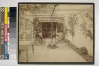 [Daisy, left, and Louise Taber, in yard of Taber residence. Photograph by Isaiah West Taber.]