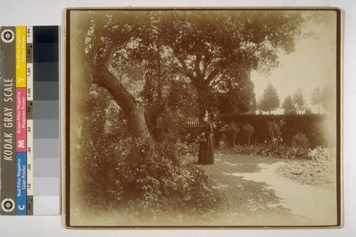 [Mrs. I.W. Taber. In garden of Taber residence? Photograph by Isaiah West Taber.]