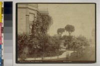 Residence of I.W. Taber, Oakland, Cal. Roses in April. [Photograph by Isaiah West Taber.]