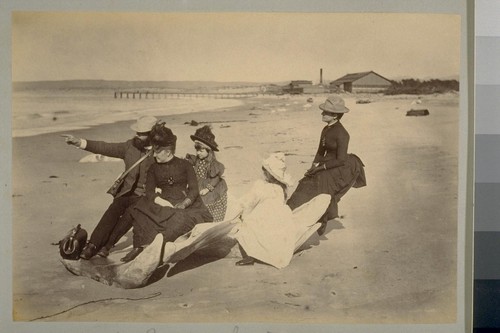 On the Beach, Monterey