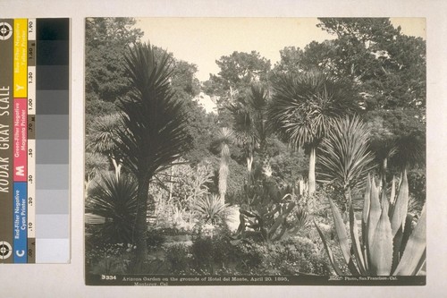 Arizona Garden on the grounds of Hotel Del Monte, April 20, 1895, Monterey, Cal [California]