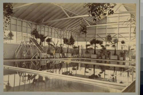 Bath House, Del Monte