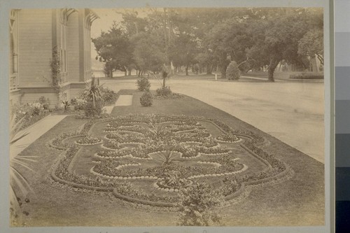 Flower Bed, Del Monte