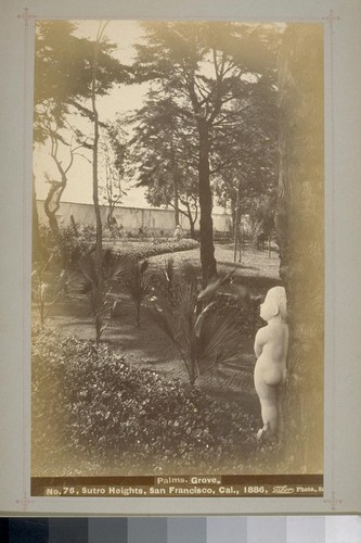 No. 76 - Palms Grove - Sutro Heights, San Francisco, Cal., 1886