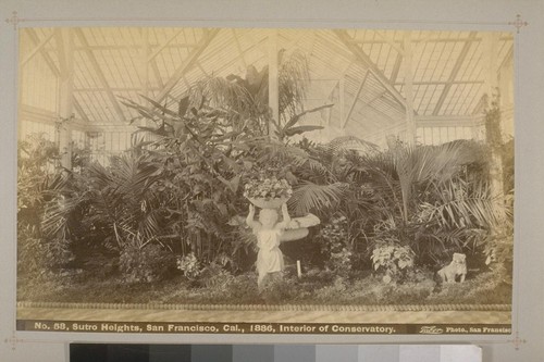 No. 58 - Sutro Heights, San Francisco, Cal., 1886, Interior of Conservatory