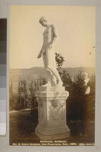 No. 8 - Antinous. (Antique.) - Sutro Heights, San Francisco, Cal., 1886