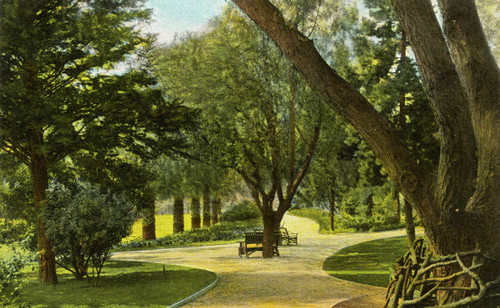 Walking paths through Westlake Park